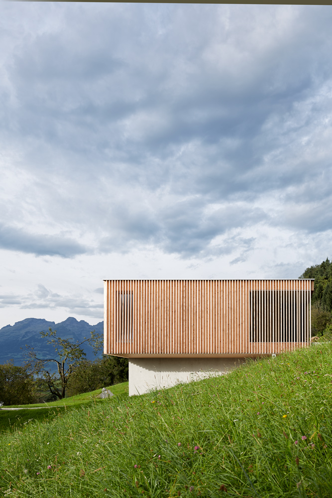 Villa Fels